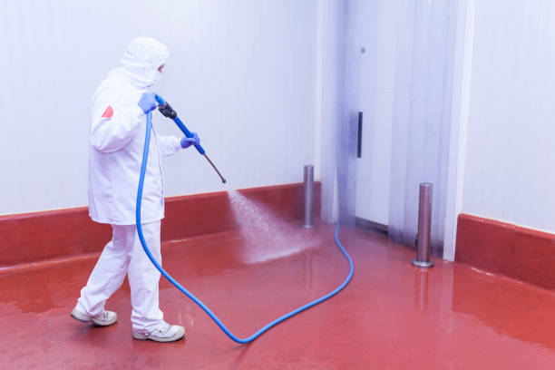Professional Pressure Washing in Palm Shores, FL